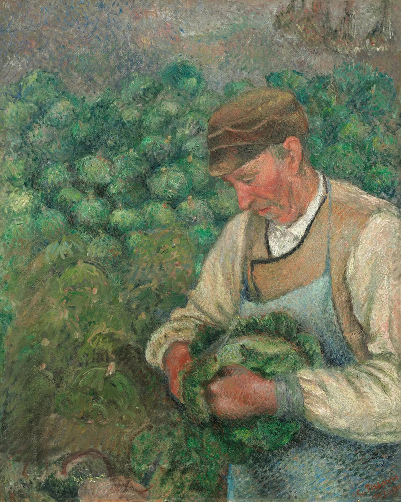 Il Giardiniere - Vecchio Contadino con il Cavolo - Camille Pissarro
