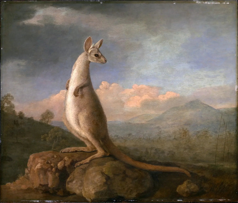 Il Kongouro di Nuova Olanda - George Stubbs