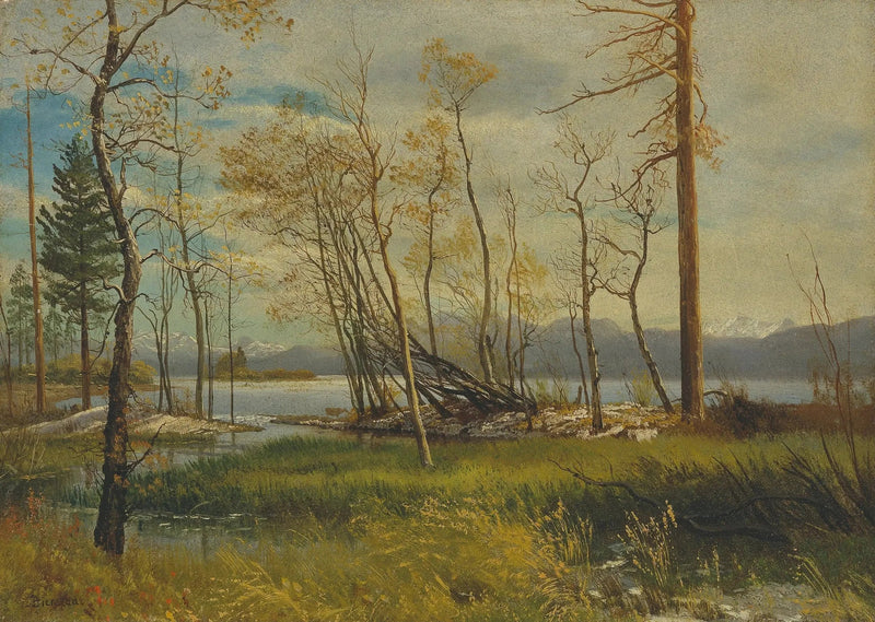 Il lago Tahoe - Albert Bierstadt