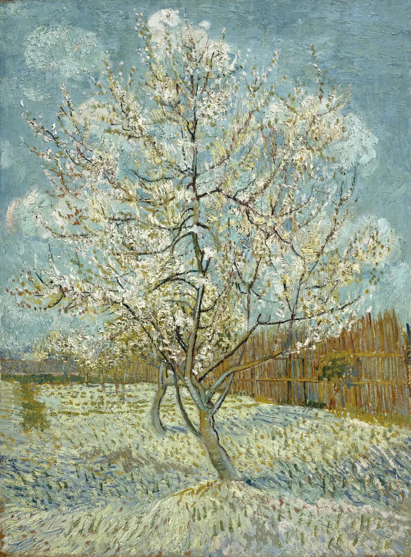 Il pesco in fiore - Vincent van Gogh