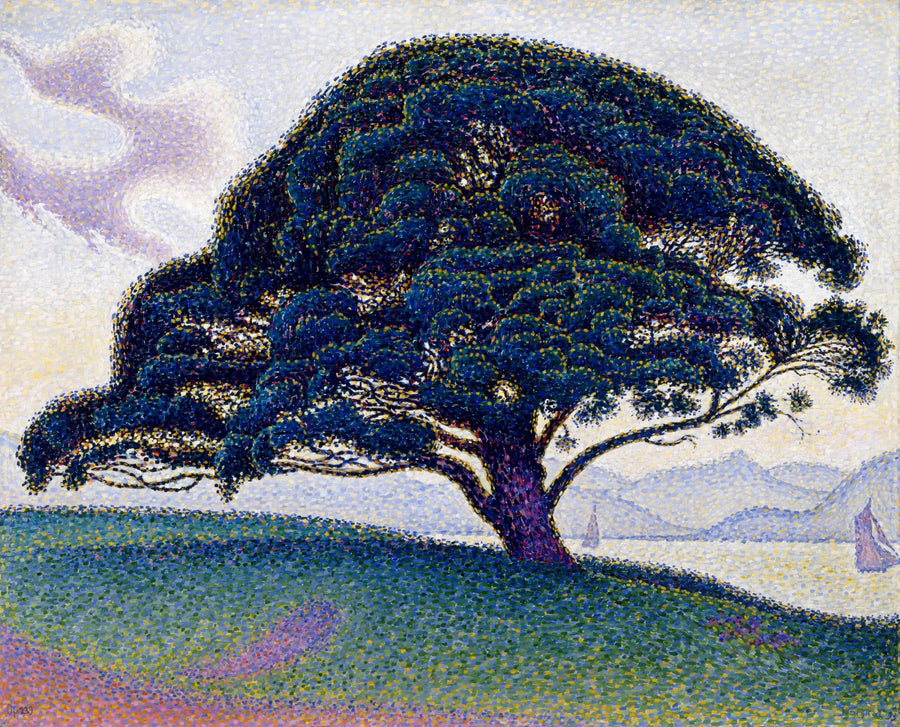Il pino di Bonaventure - Paul Signac