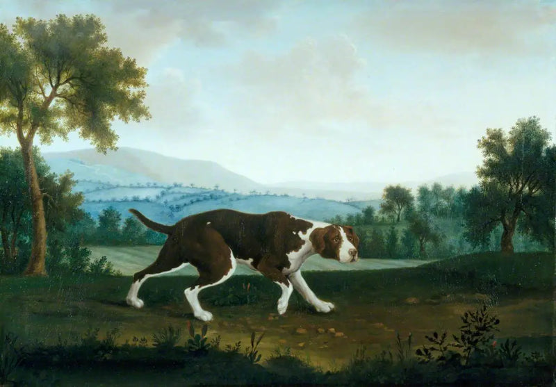 Il puntatore spagnolo - George Stubbs