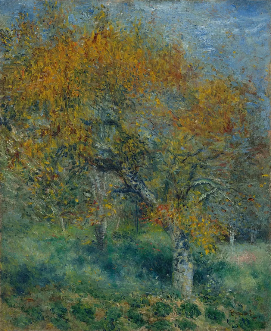 Il Pero - Pierre-Auguste Renoir