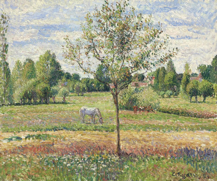 Il Prato al Cavallo Grigio, Éragny - Camille Pissarro