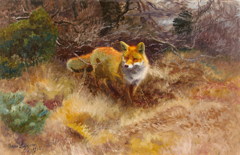 La volpe e il paesaggio - Bruno Liljefors