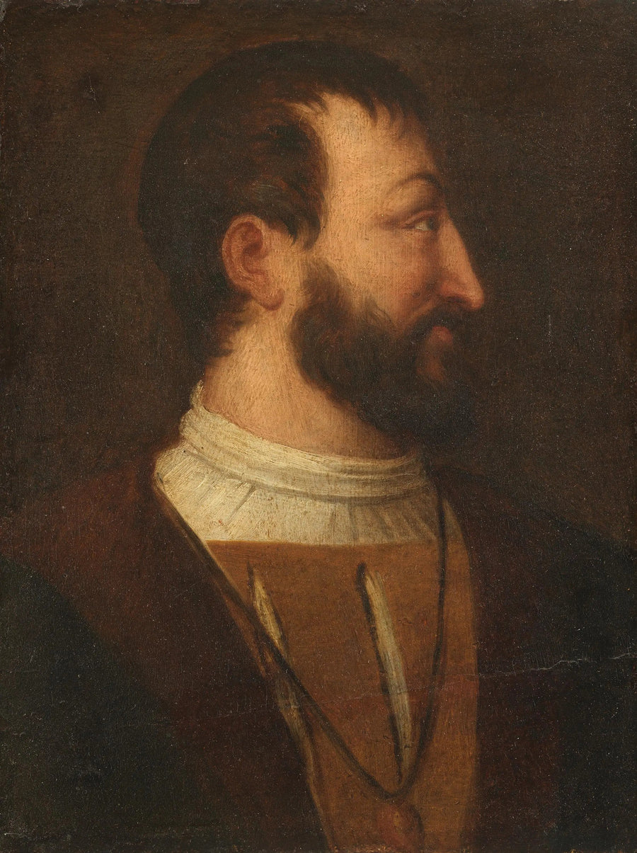 Il re Francesco I di Francia - Titian
