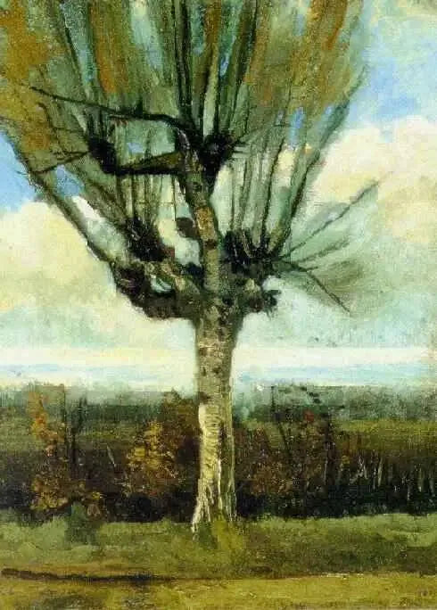 Il salice - Vincent van Gogh
