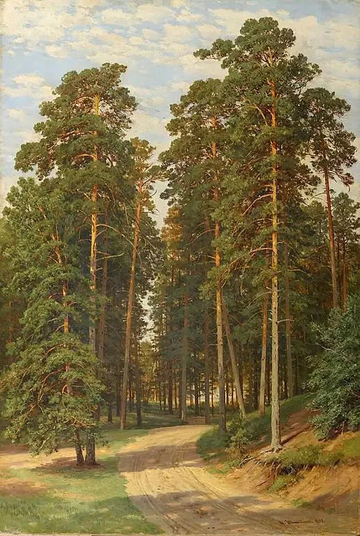 Il sole nella foresta - Ivan Chichkine