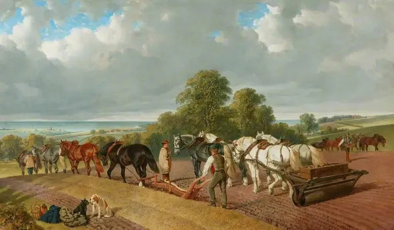 Il tempo dei semi - John Frederick Herring, Sr.