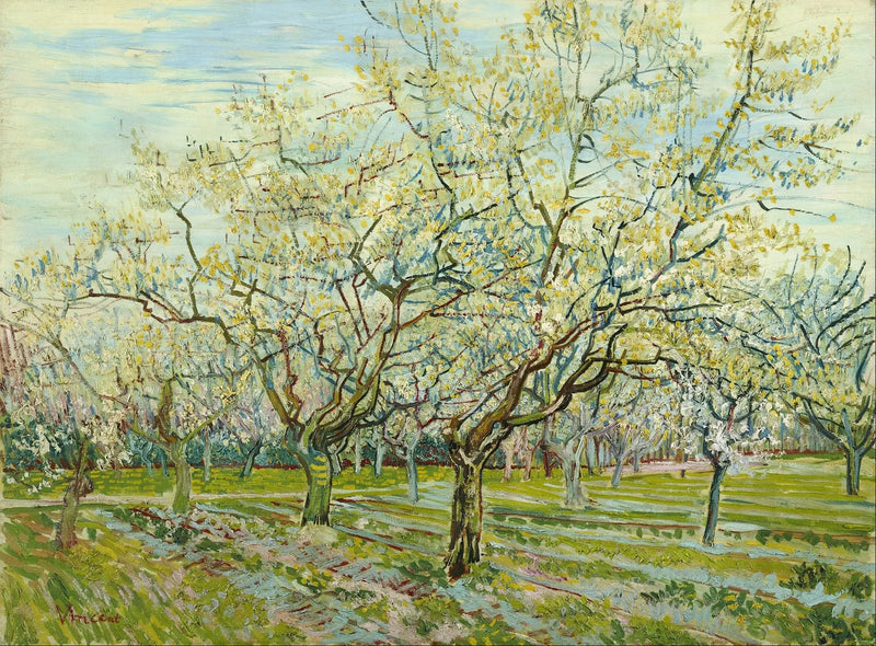 Il frutteto bianco - Vincent van Gogh