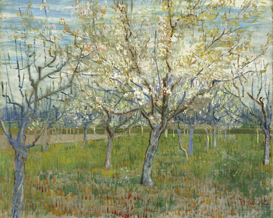 Il frutteto rosa - Vincent van Gogh