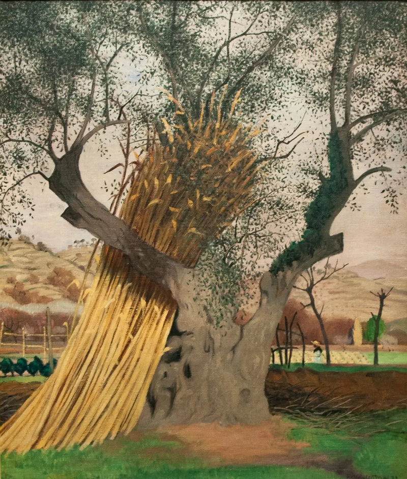 Il Vecchio Ulivo - Félix Vallotton