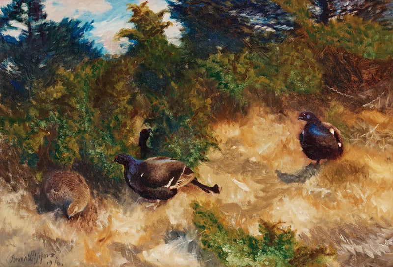 Lekling del fagiano di monte - Bruno Liljefors