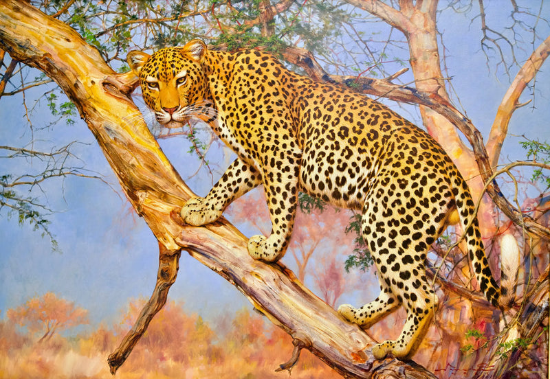 Leopardo su un albero | Dimensioni: 150x100 cm