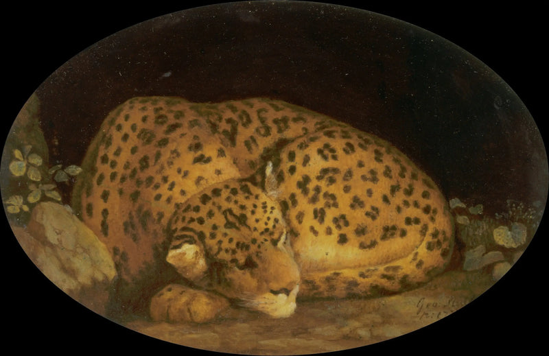 Leopardo addormentato - George Stubbs