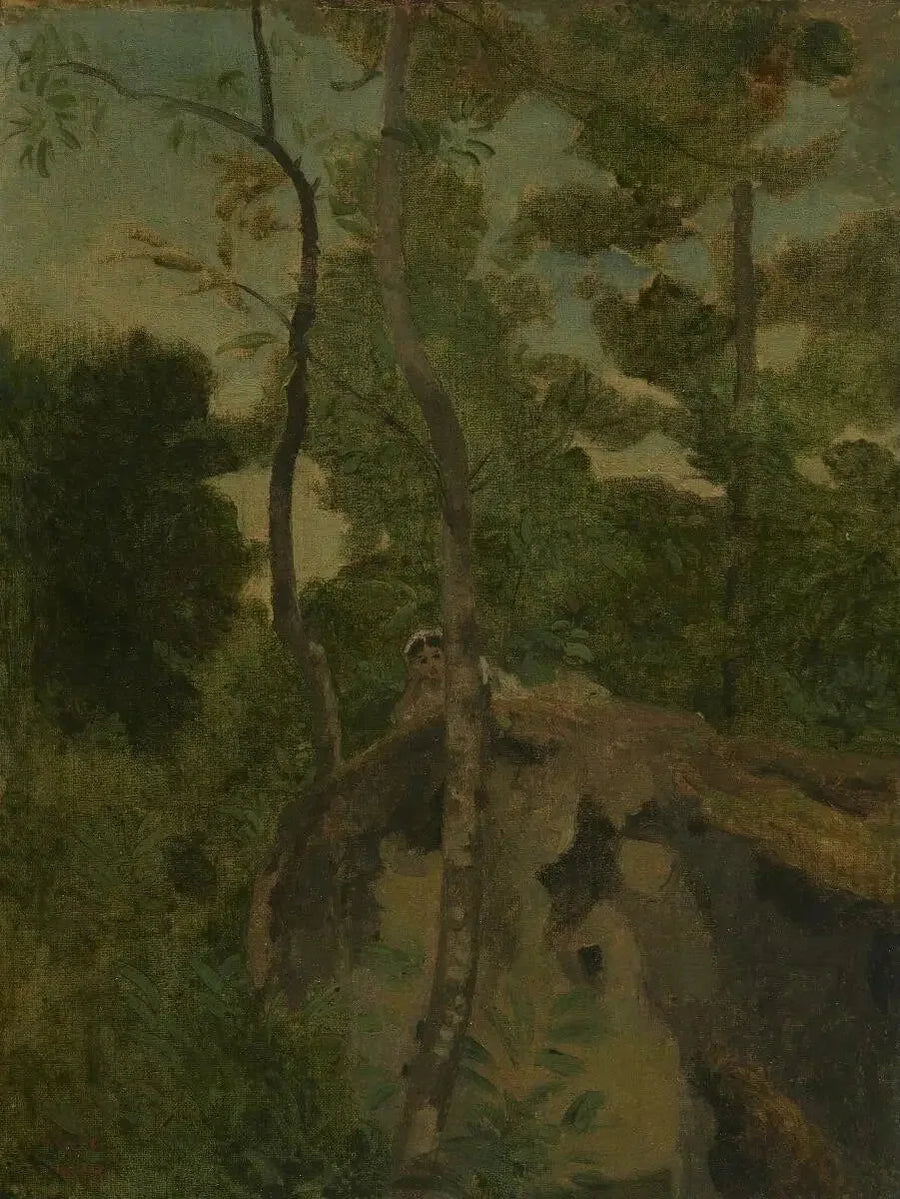 Les Alinges. Ragazza sdraiata su una roccia sotto gli alberi - Jean-Baptiste Camille Corot