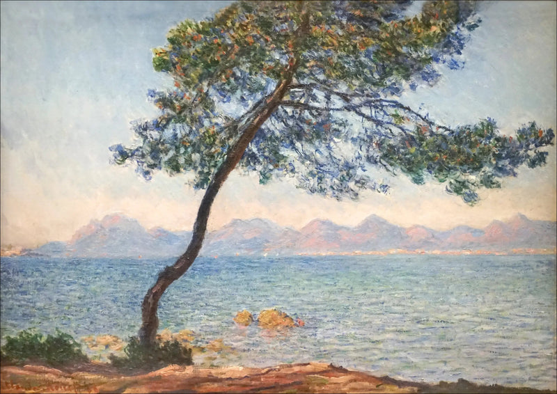 Gli antibatterici - Claude Monet