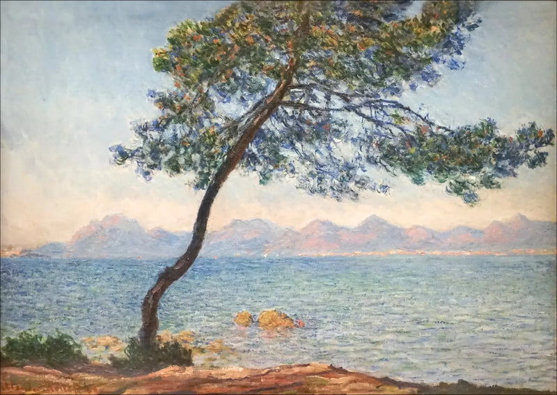 Gli antibatterici - Claude Monet