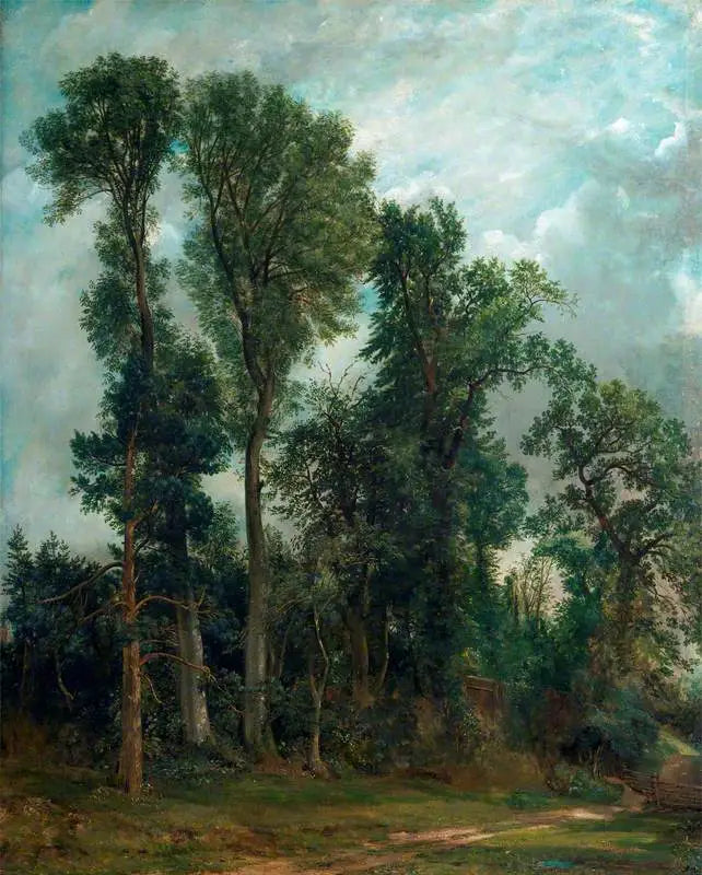 Les arbres de Hampstead : le chemin vers l’église - John Constable - Alpha Reproduction