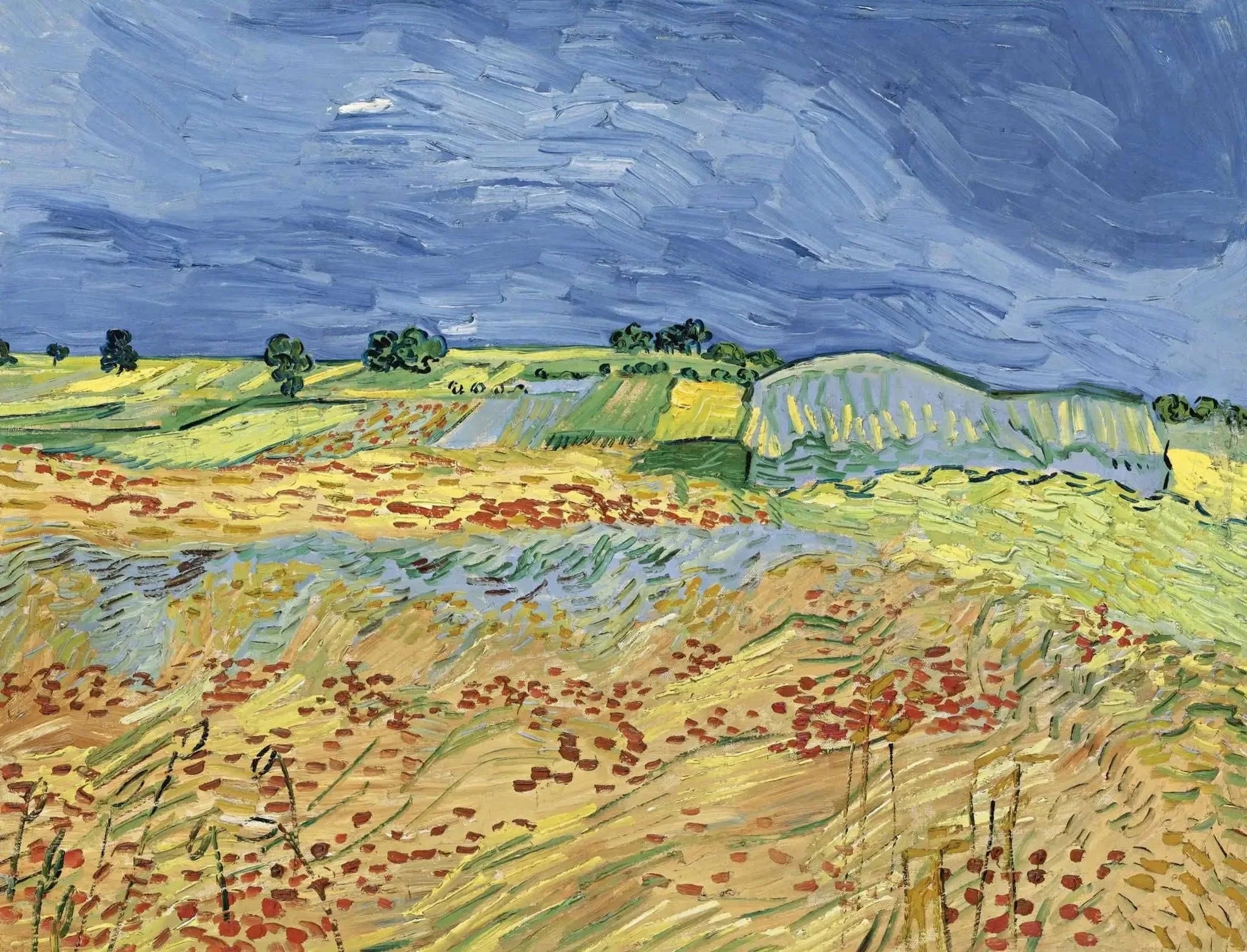 Les Champs de Vincent van Gogh, Auvers-sur-Oise, 1890