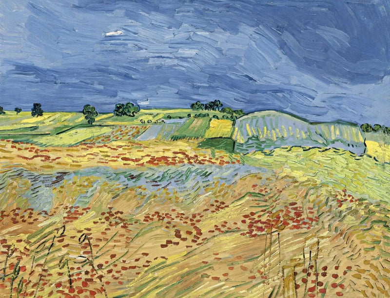 I campi - Vincent van Gogh