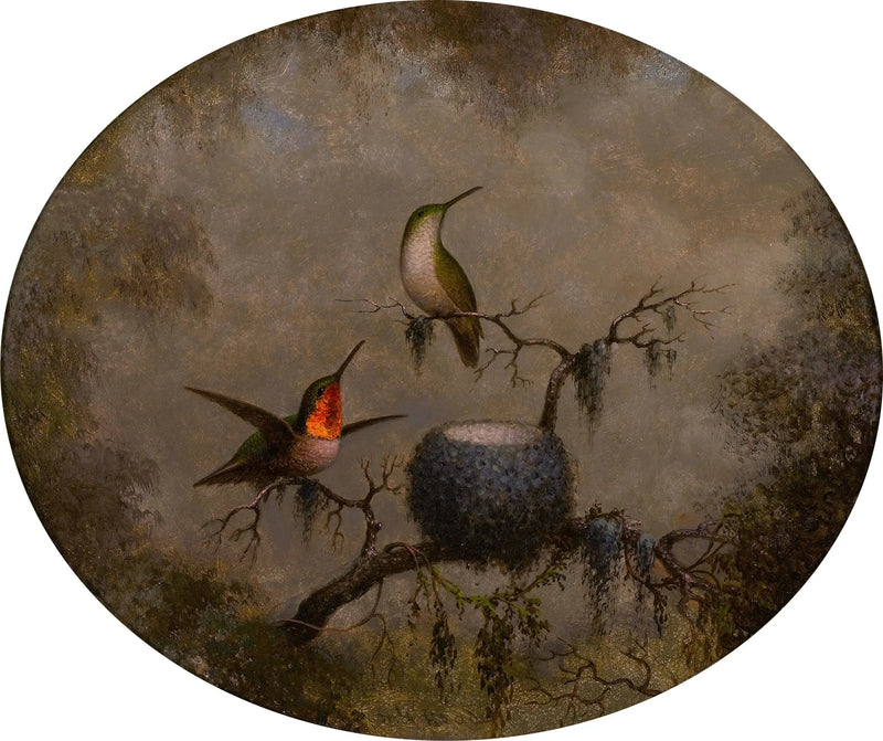 I colibrì e il loro nido - Martin Johnson Heade