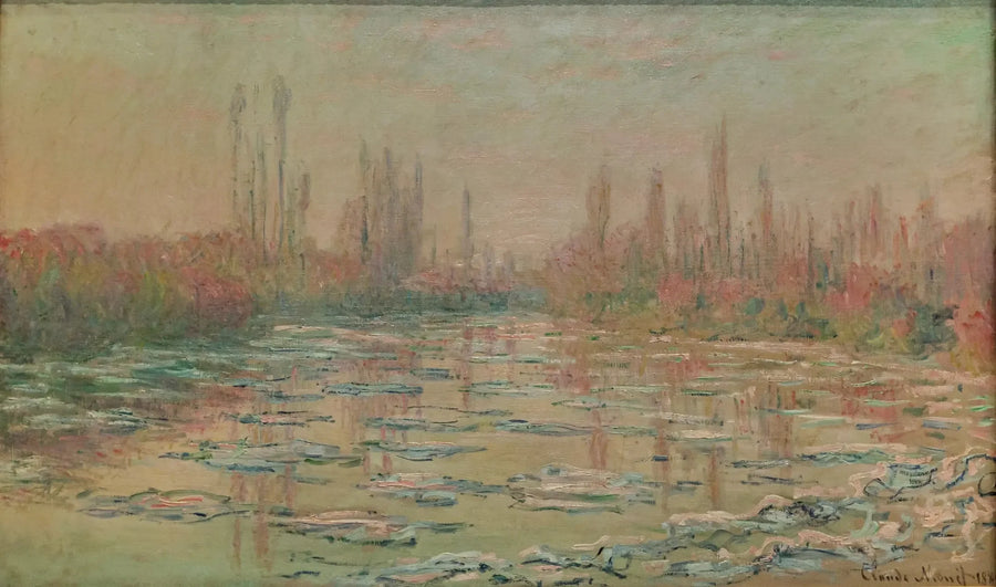 I Cubetti di Ghiaccio - Claude Monet