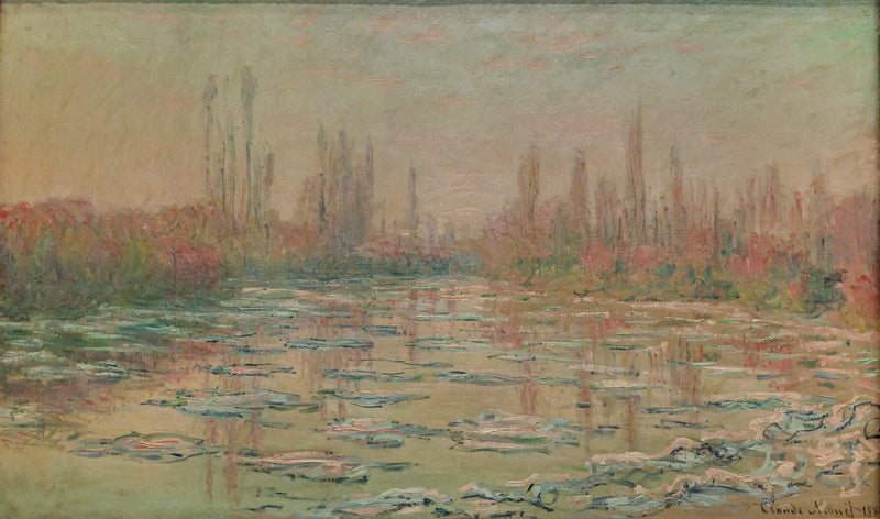 I cubetti di ghiaccio W567 - Claude Monet