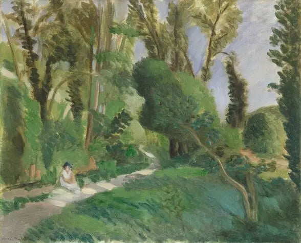 Le Gole del Lupo - Henri Matisse