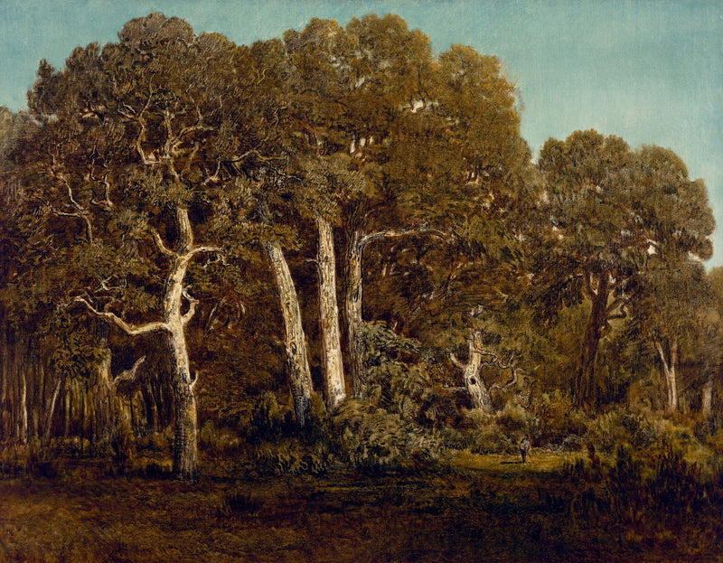Le grandi querce della vecchia Bassa Brûléau - Théodore Rousseau