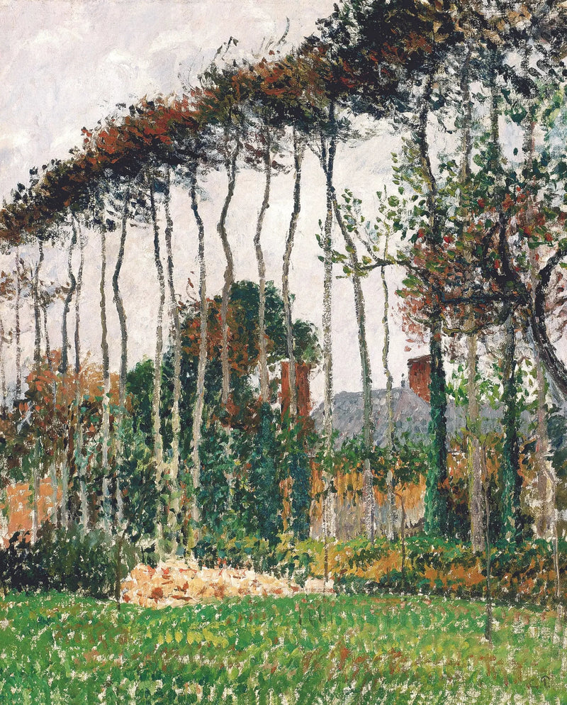 I grandi faggi a Varengeville - Camille Pissarro