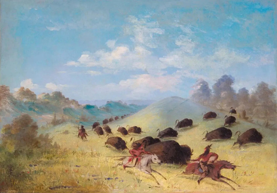 Gli indiani Comanche che cacciano il bisonte con lance e archi - George Catlin