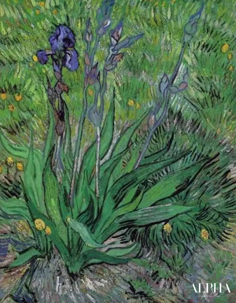 Les iris II - Van Gogh - Reproductions de tableaux et peintures haut de gamme