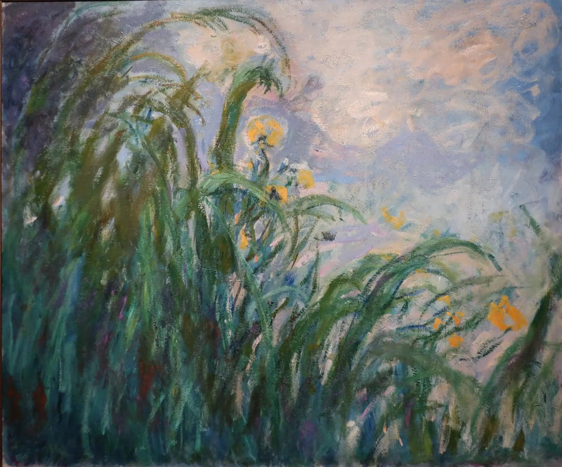 Gli iris gialli - Claude Monet