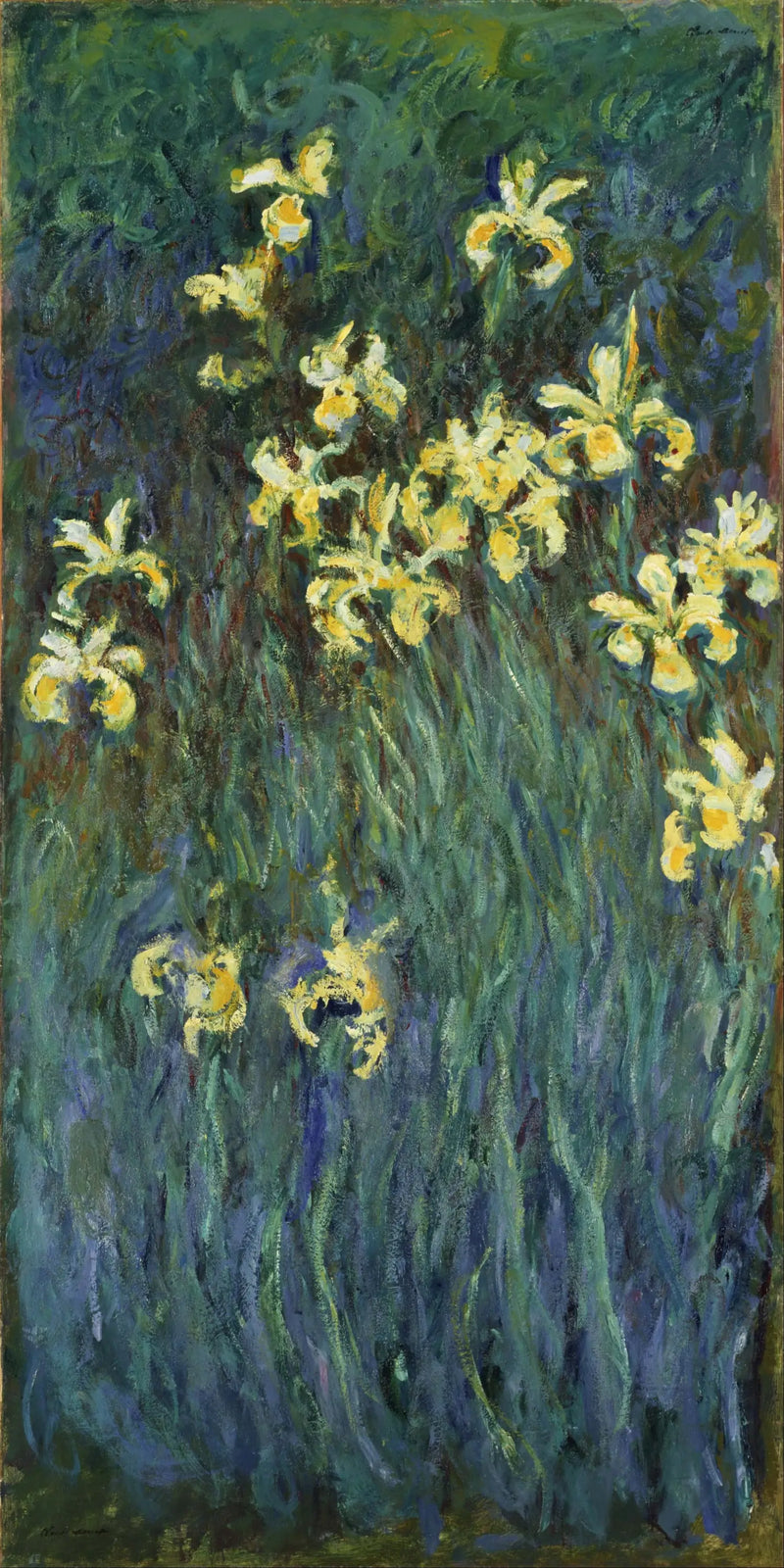 Gli iris gialli - Claude Monet