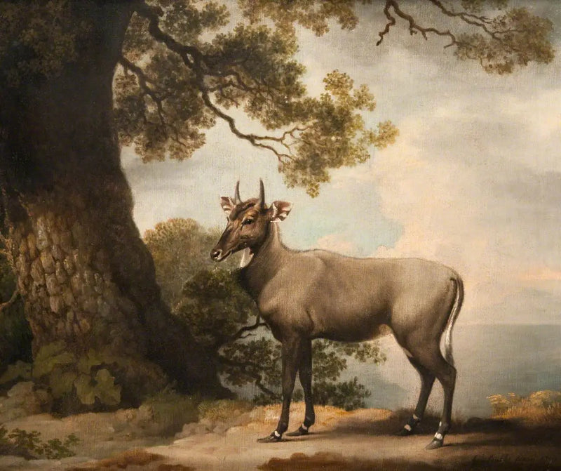 Les Nilgaïs - George Stubbs