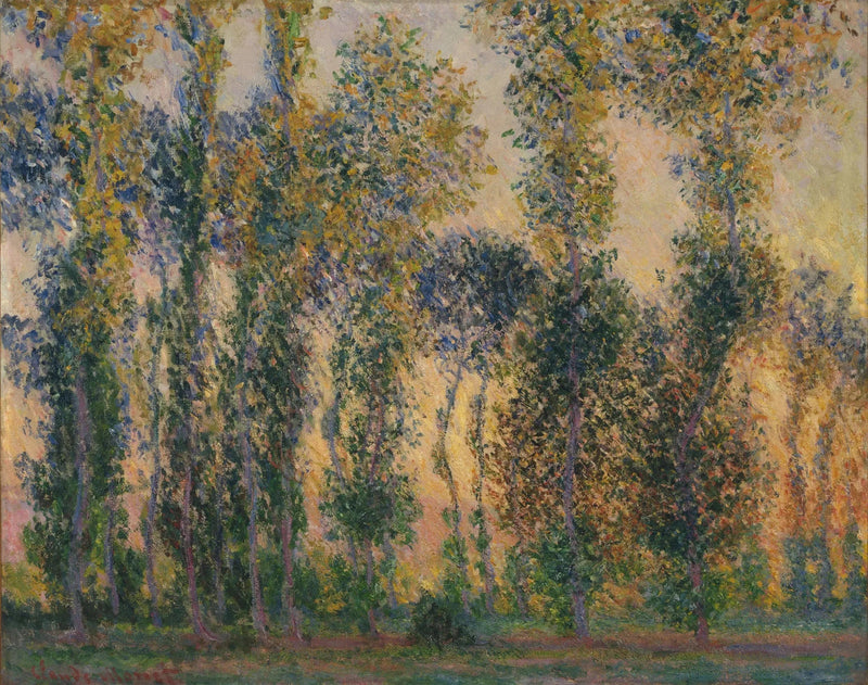 I polpi a Giverny, l'alba - Claude Monet