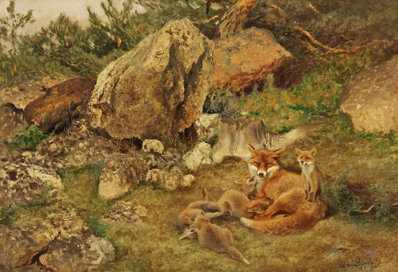 I cuccioli di volpe stanno giocando - Bruno Liljefors