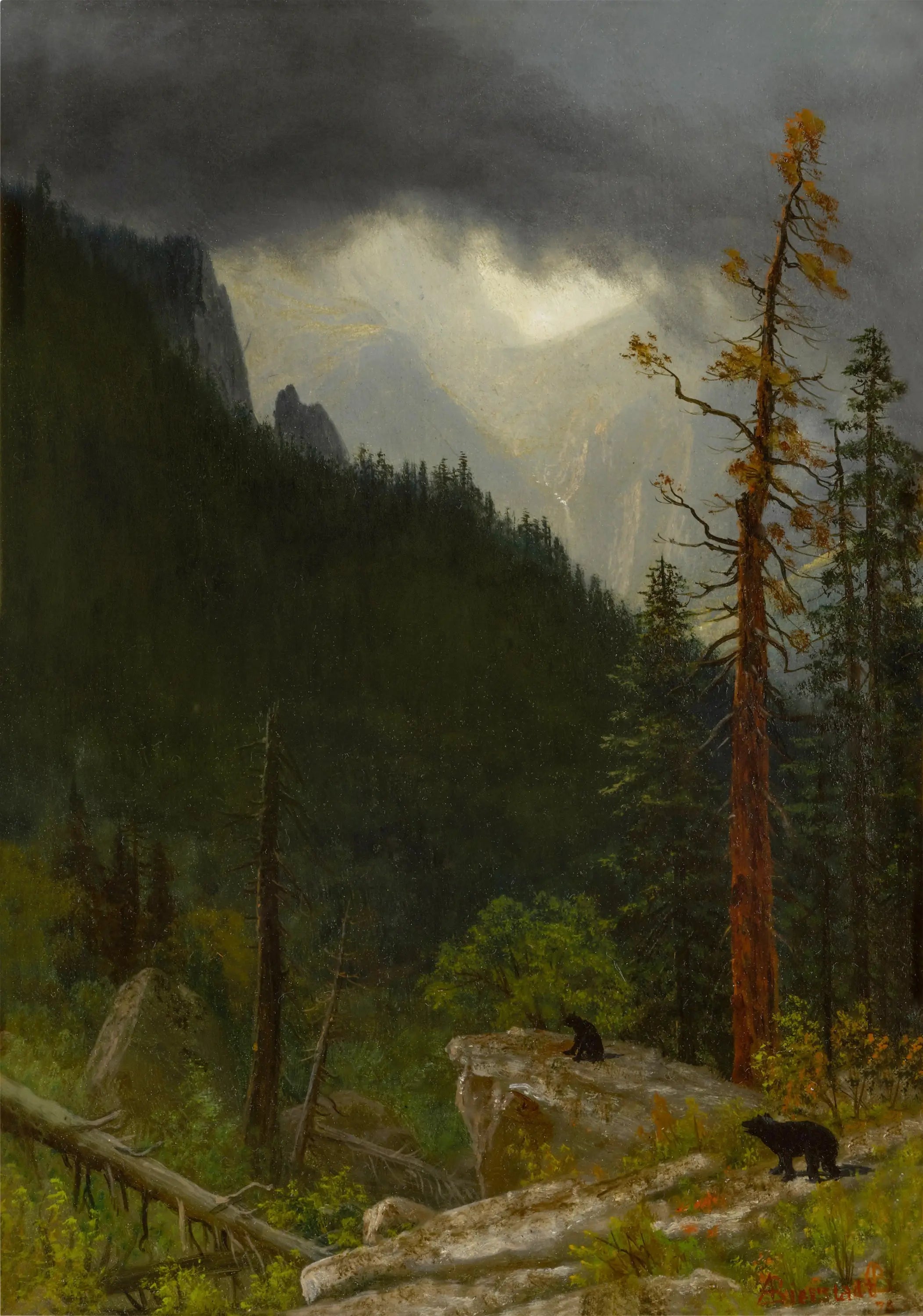 Les Rocheuses après une tempête - Albert Bierstadt - Alpha Reproduction