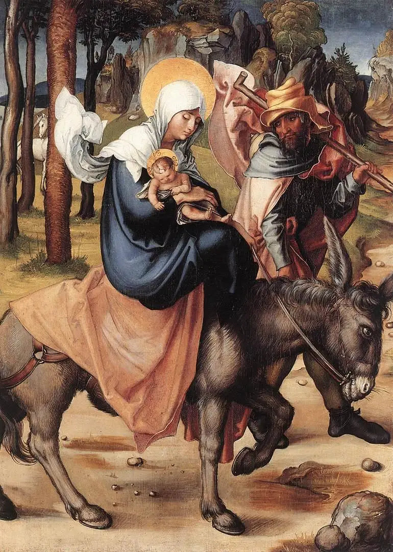 Le Sette Dolori della Vergine: La Fuga in Egitto - Albrecht Dürer