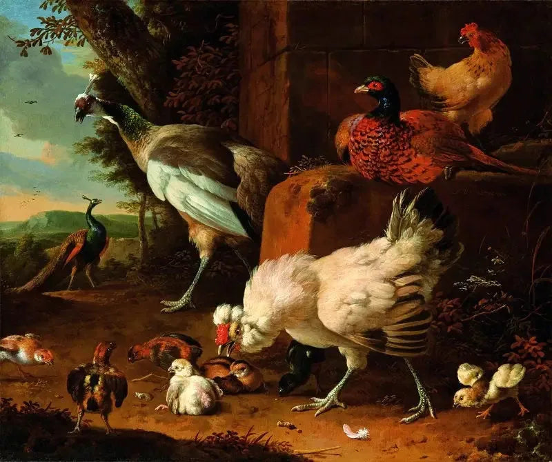 Les volailles domestiques avec un faisan et des paons. - Melchior de Hondecoeter image 1 reproduction artisanale de tableau