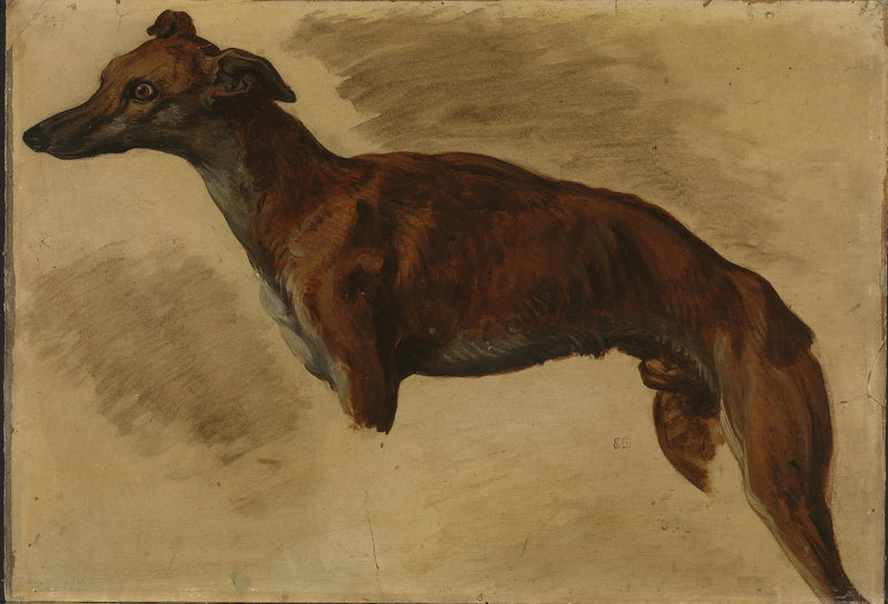 Levriero - Eugène Delacroix