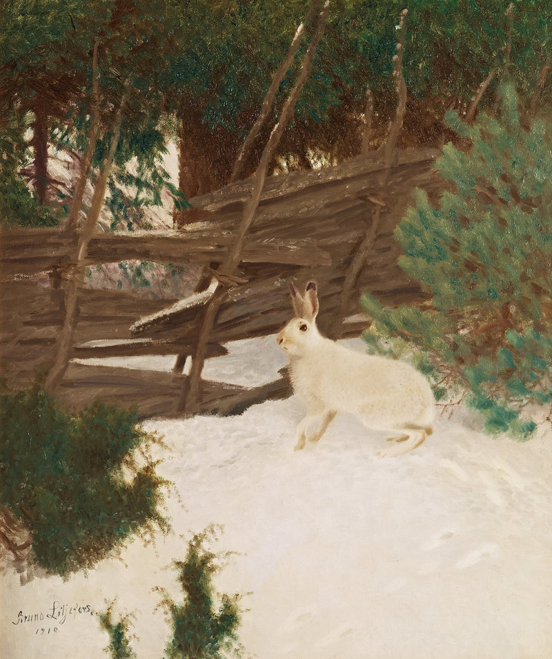 Lepre invernale - Bruno Liljefors