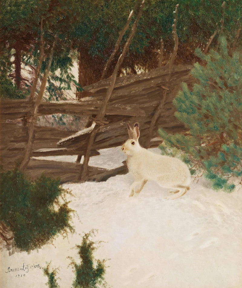 Lepre invernale - Bruno Liljefors