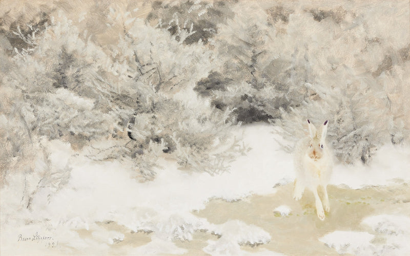 Lepre invernale - Bruno Liljefors