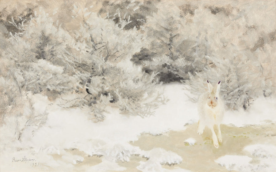 Lepre invernale - Bruno Liljefors