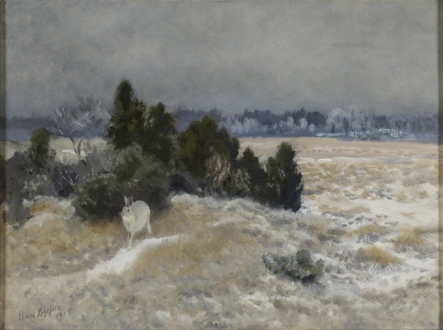 Lepre invernale - Bruno Liljefors