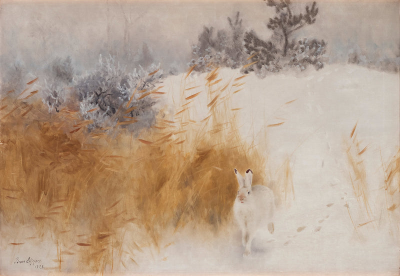 Lepre invernale - Bruno Liljefors