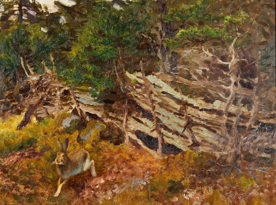 Lepre in un paesaggio forestale - Bruno Liljefors