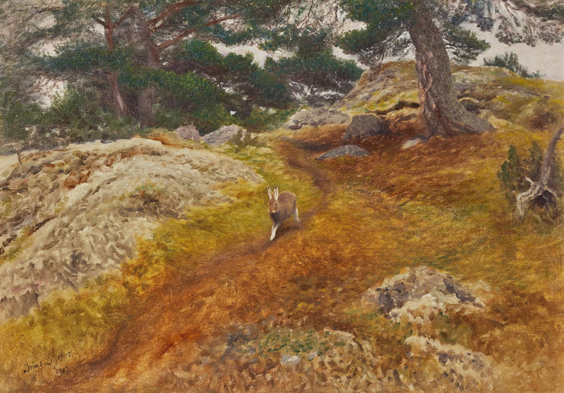 Lepre in un paesaggio forestale - Bruno Liljefors